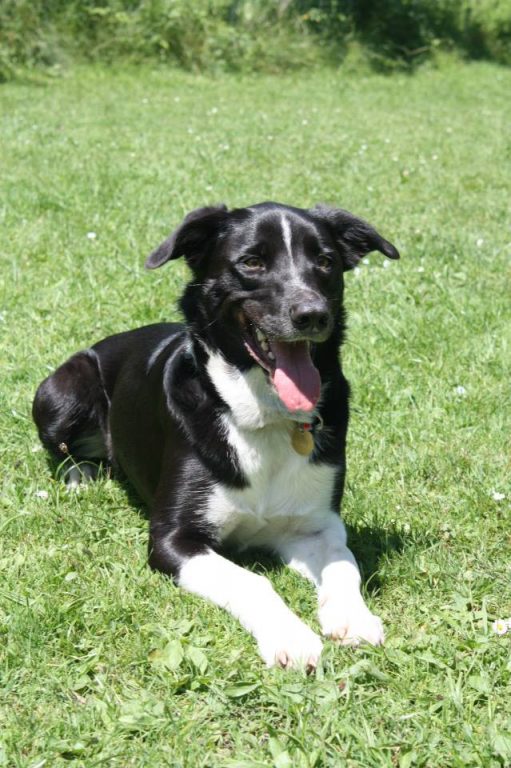 Einzeltraining & Hausbesuch