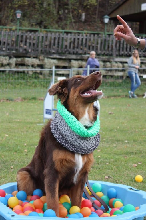 Spiel, Spaß & Sport