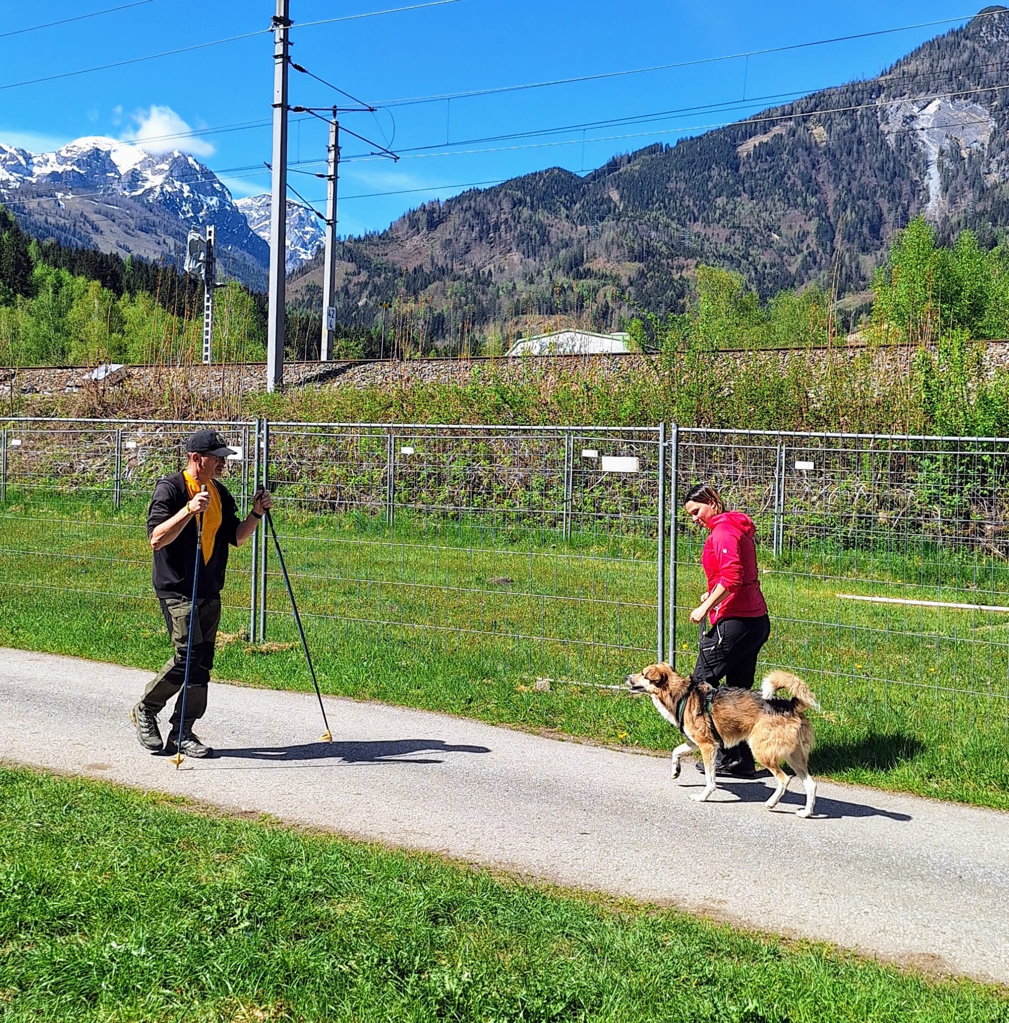 Galeriebild AHV Hundeschule