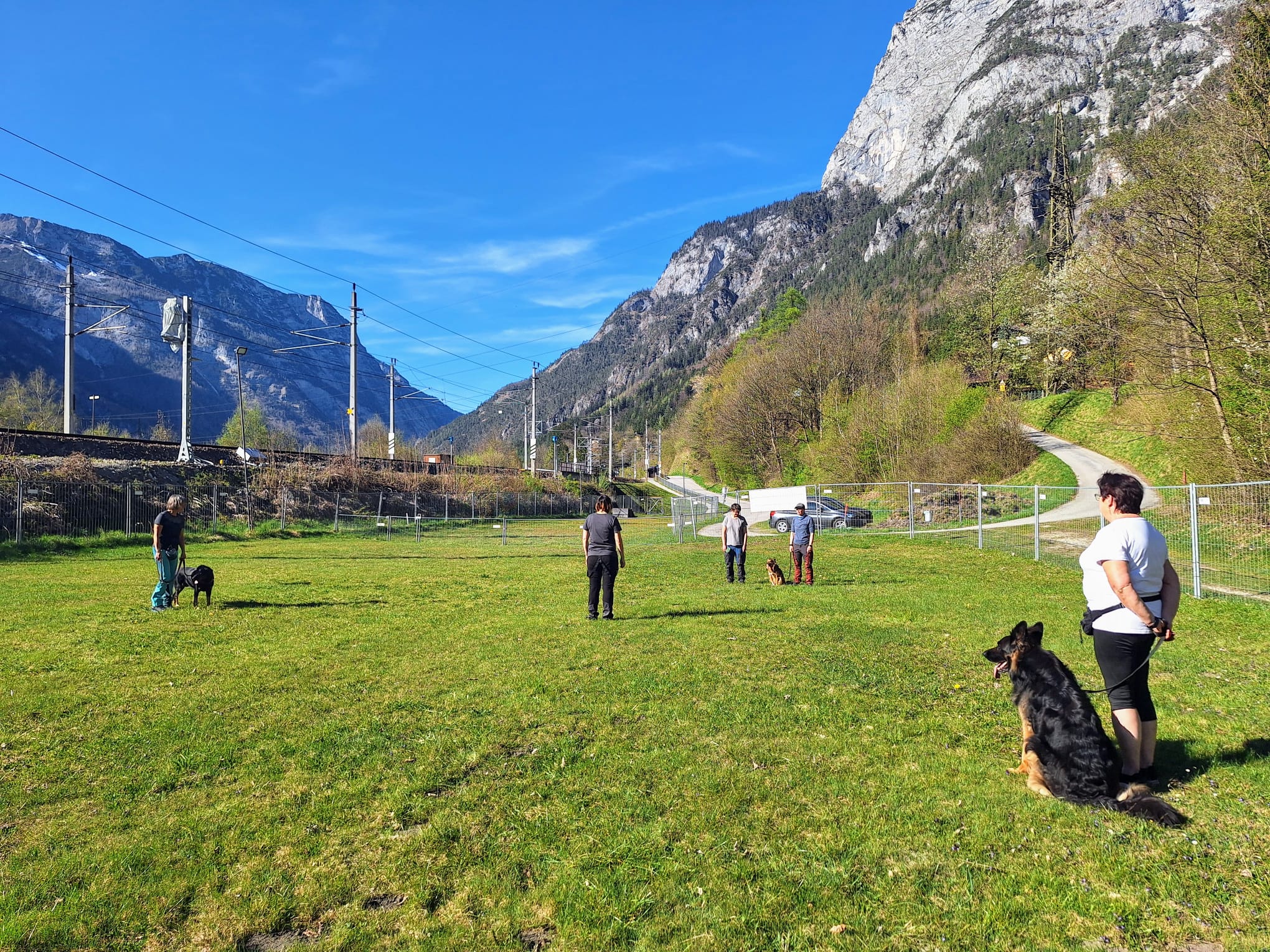 Galeriebild AHV Hundeschule