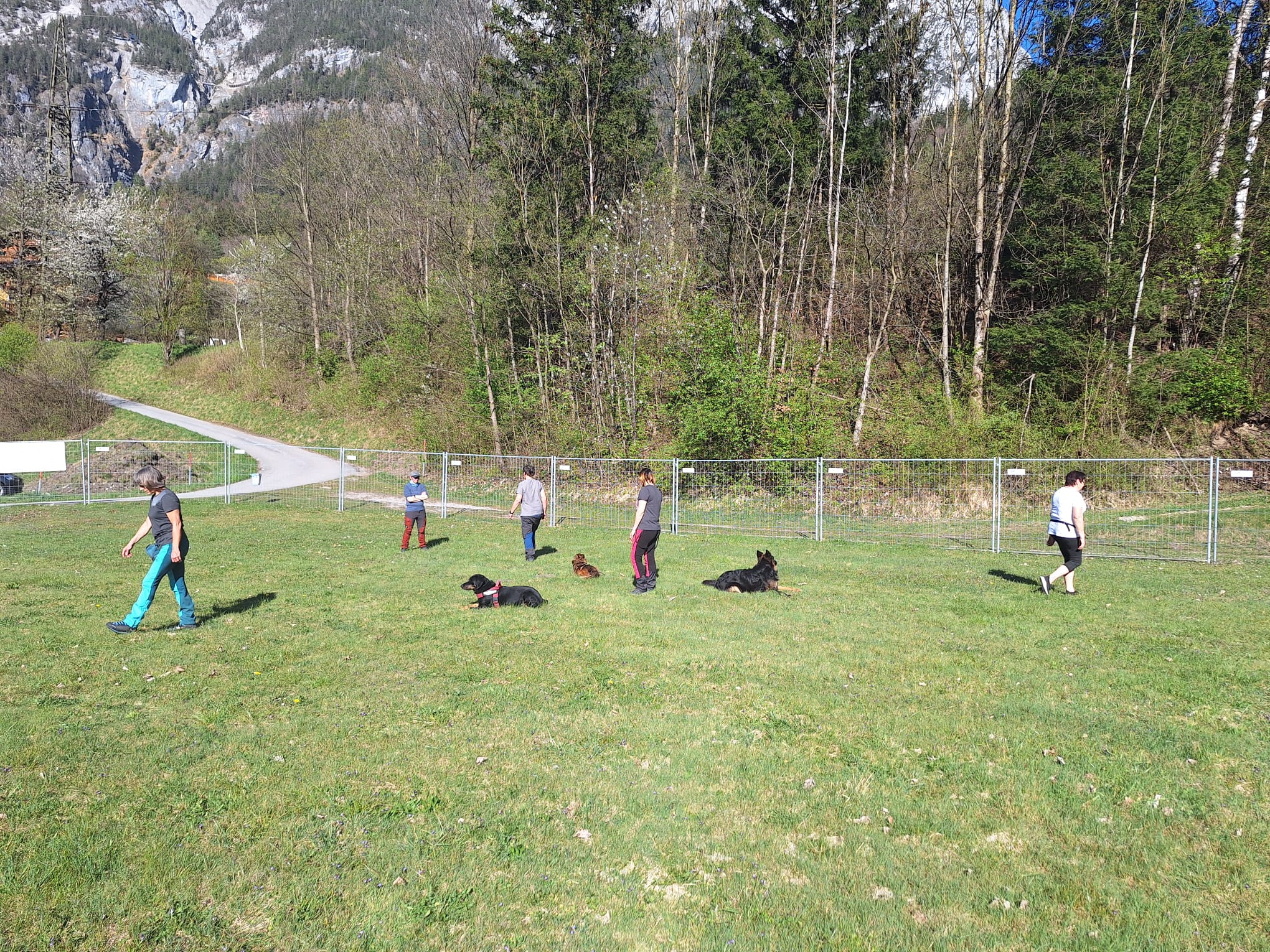 Galeriebild AHV Hundeschule