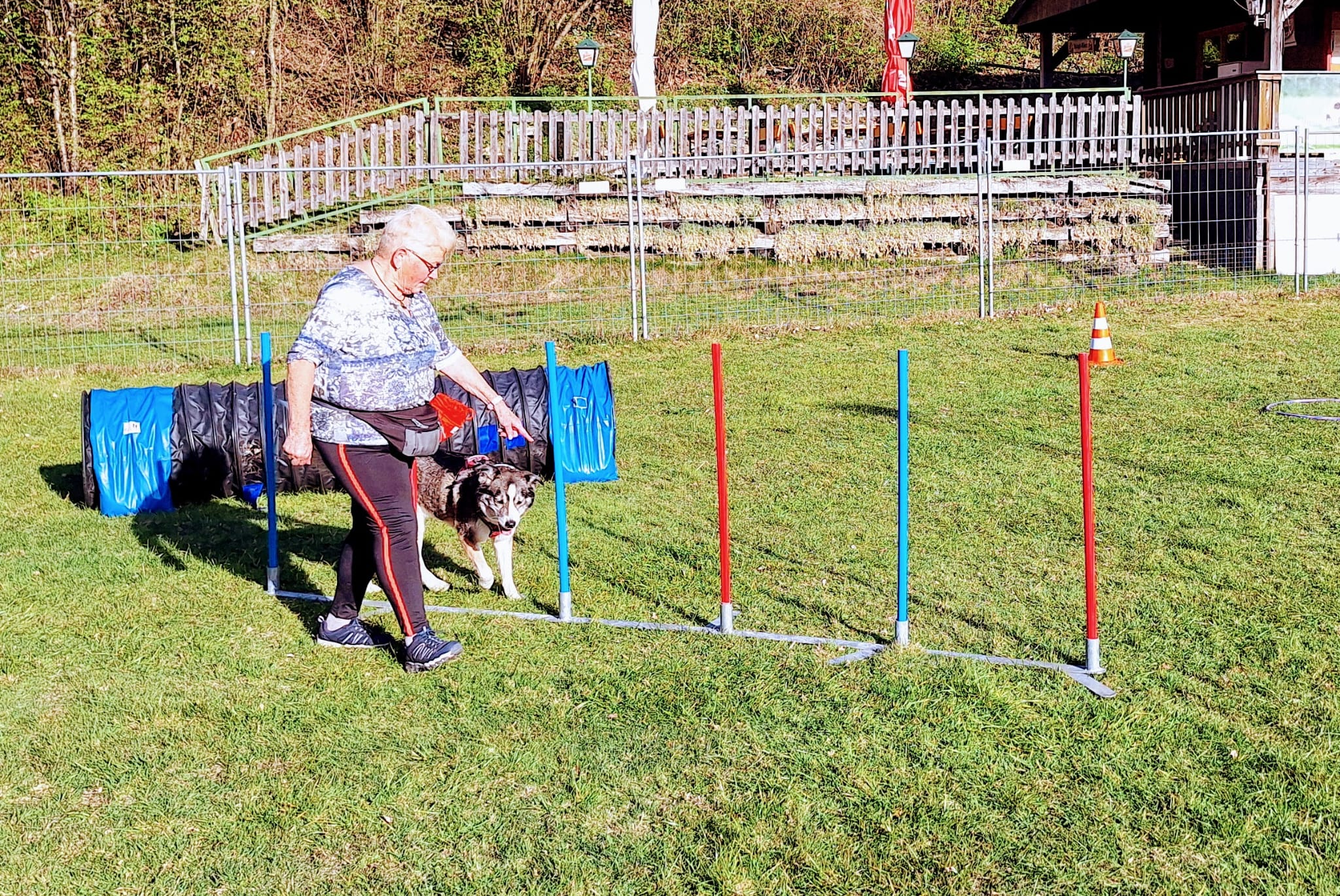 Galeriebild AHV Hundeschule