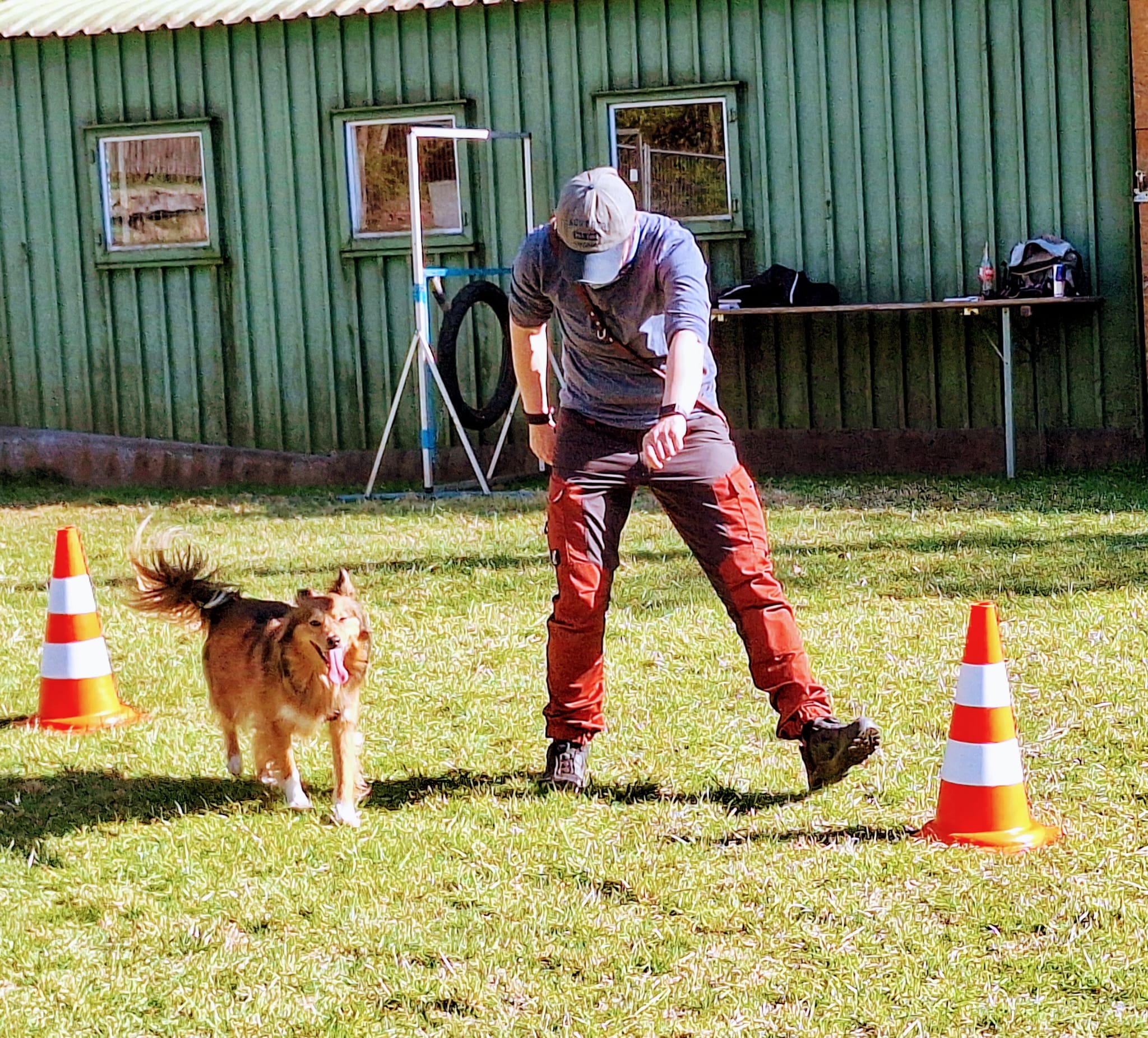 Galeriebild AHV Hundeschule