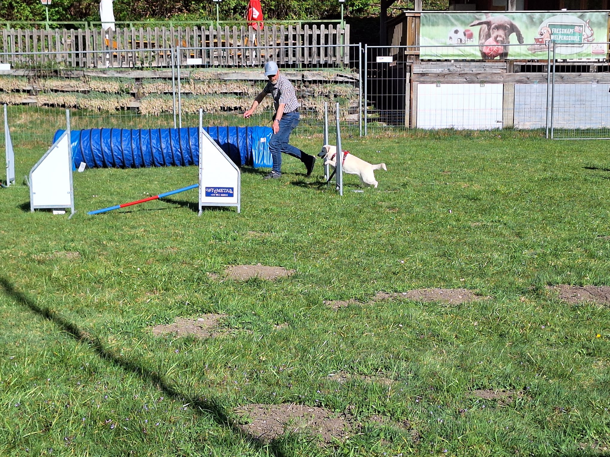 Galeriebild AHV Hundeschule