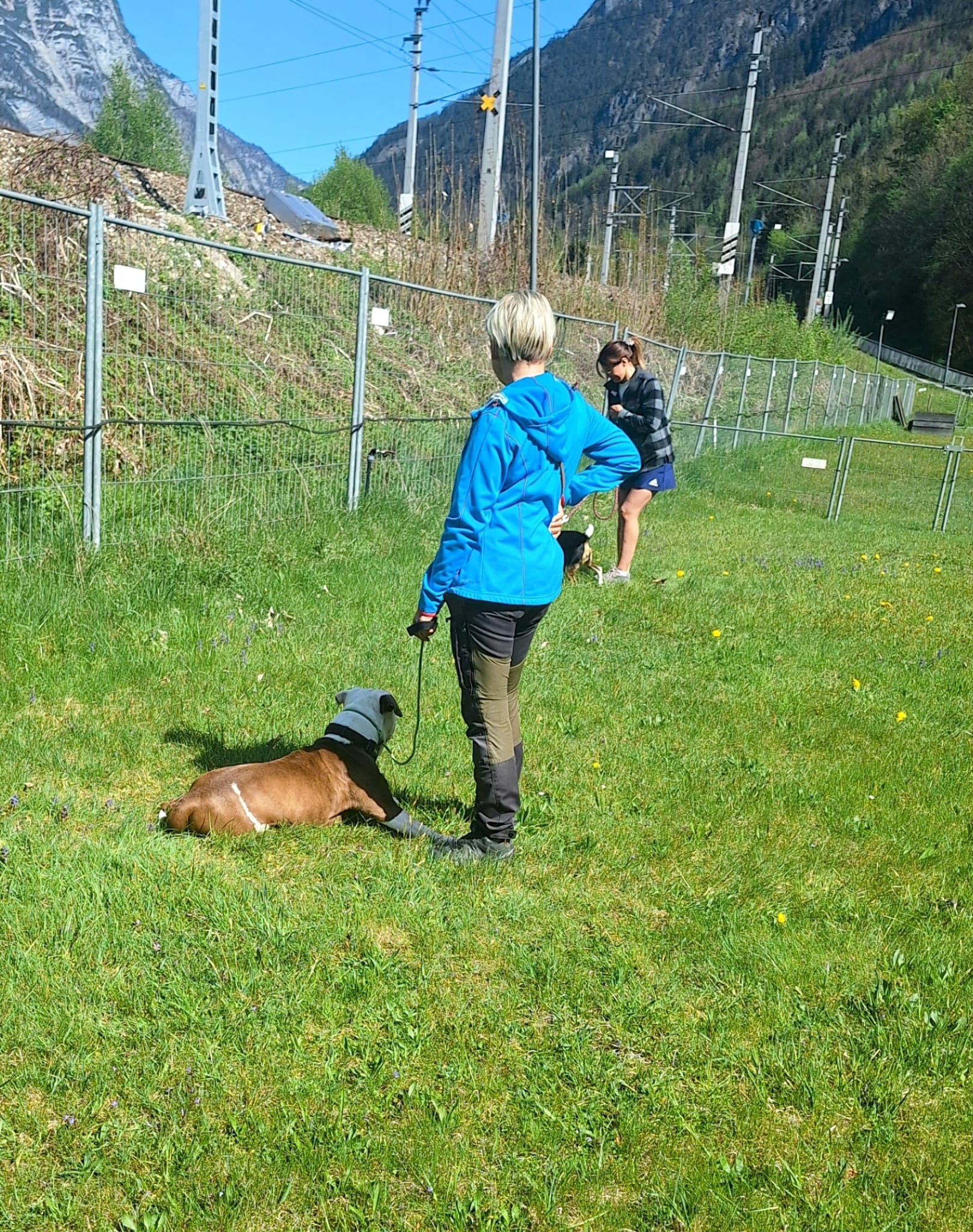 Galeriebild AHV Hundeschule