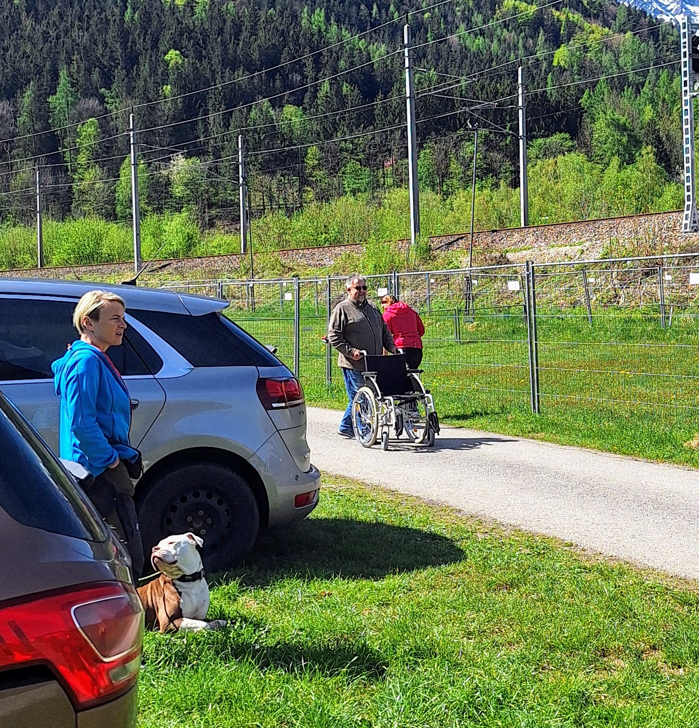 Galeriebild AHV Hundeschule