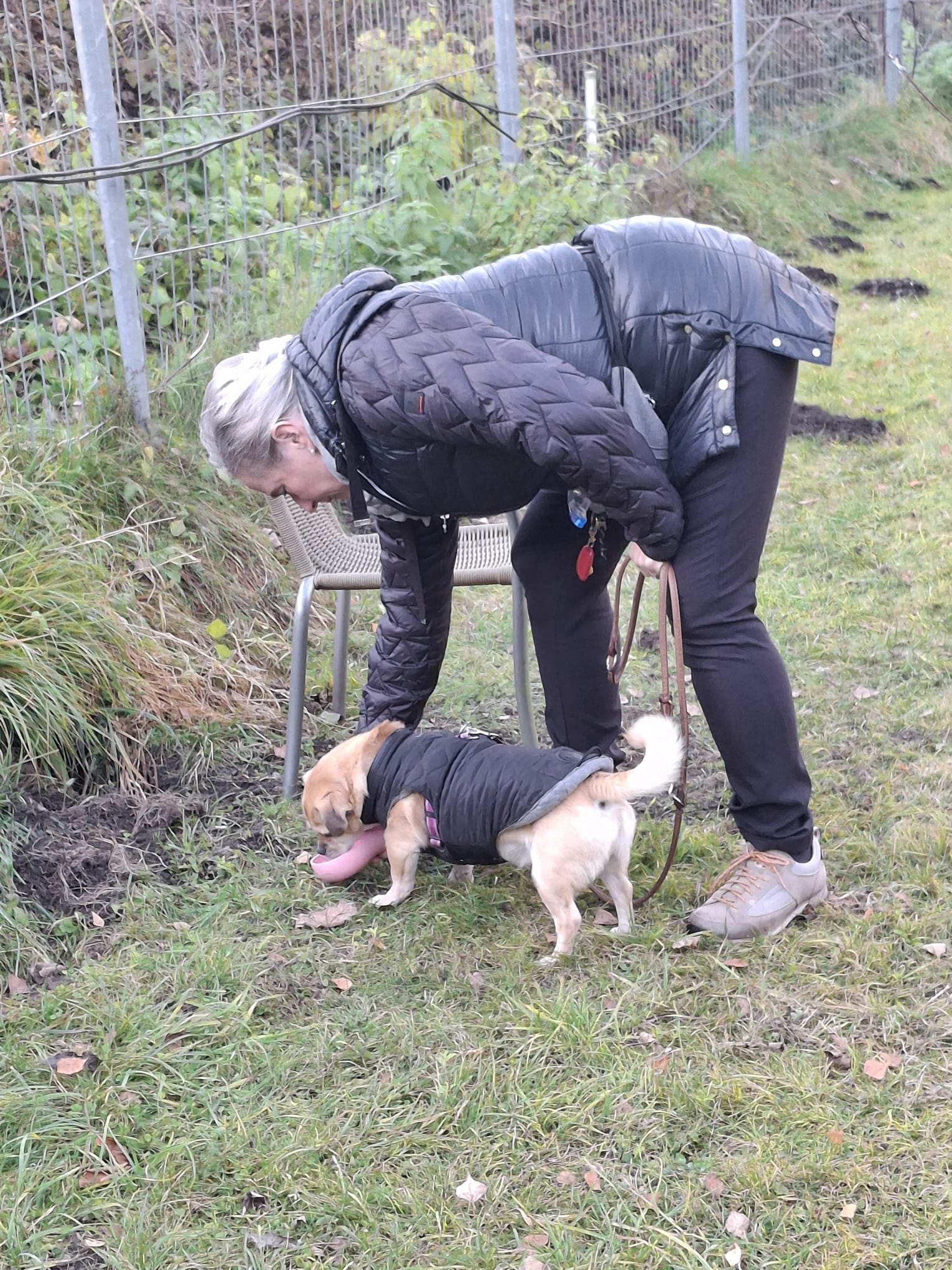 Galeriebild AHV Hundeschule